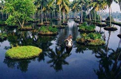Kerala Tour India